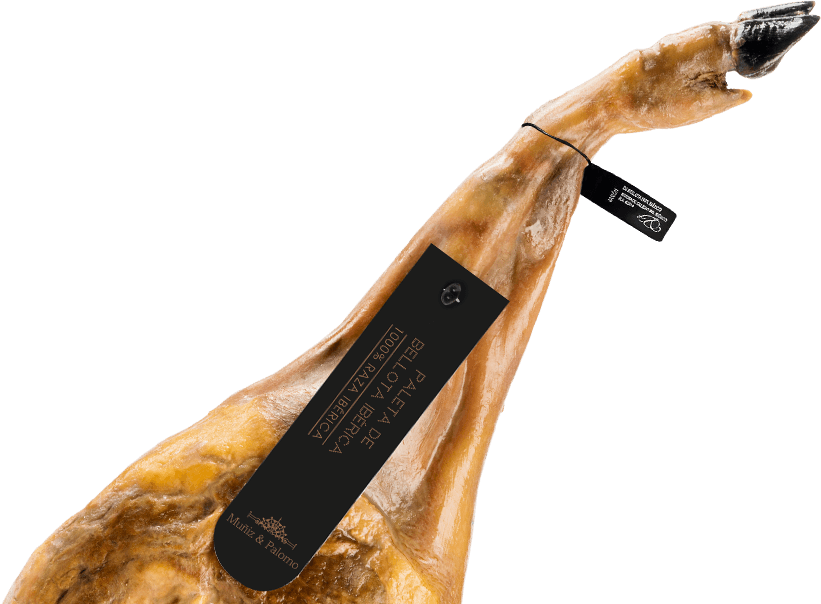 Paleta de Bellota 50% Ibérica 